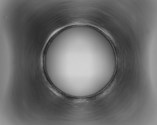 X0000116510846200912090946