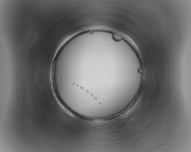 X0000116510847200912090946