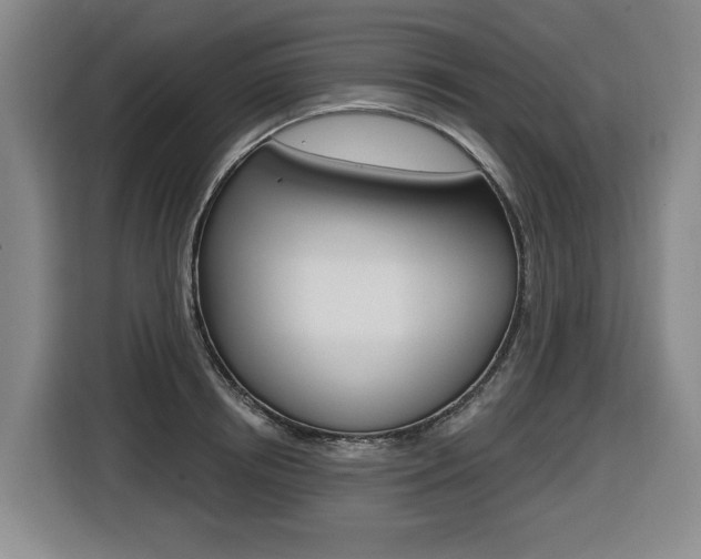 X0000116510850200912090946