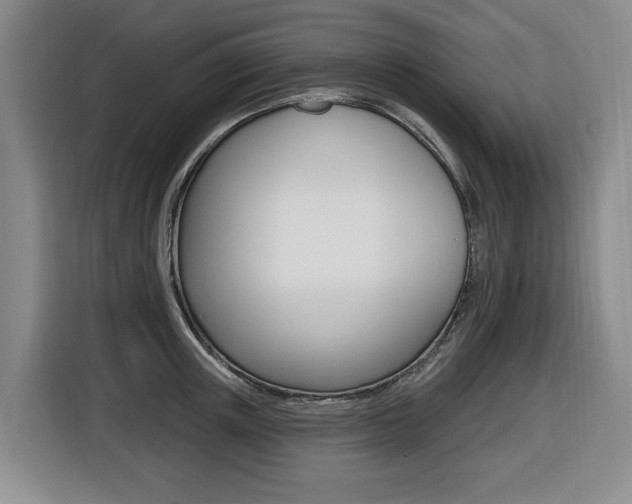 X0000116510851200912090946
