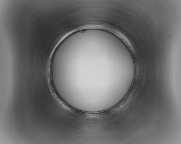 X0000116510852200912090946