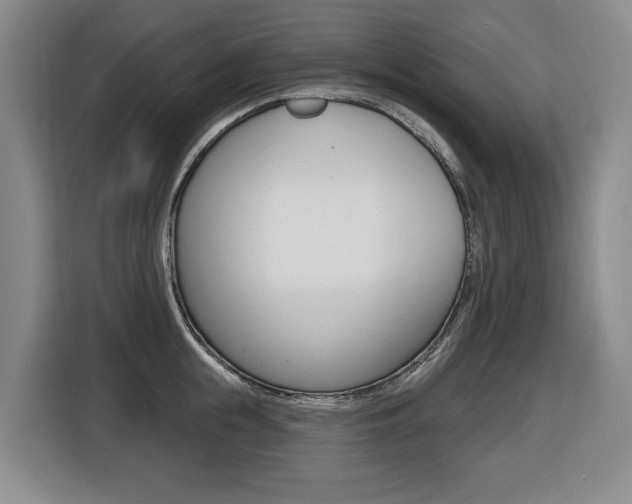 X0000116510855200912090946
