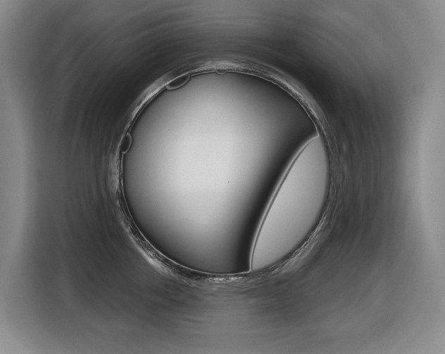 X0000116510858200912090946