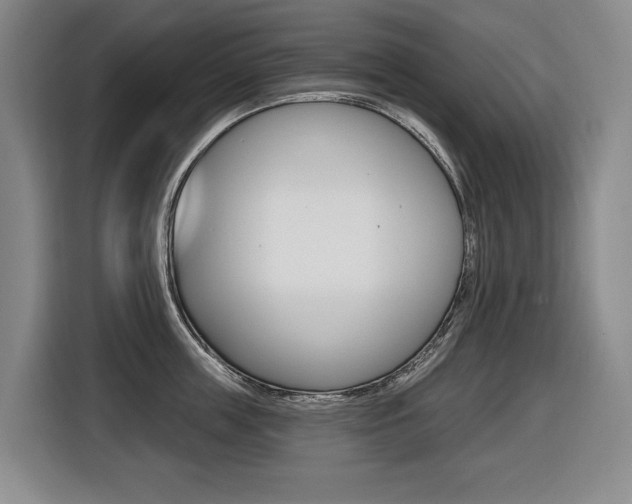 X0000116510859200912090946