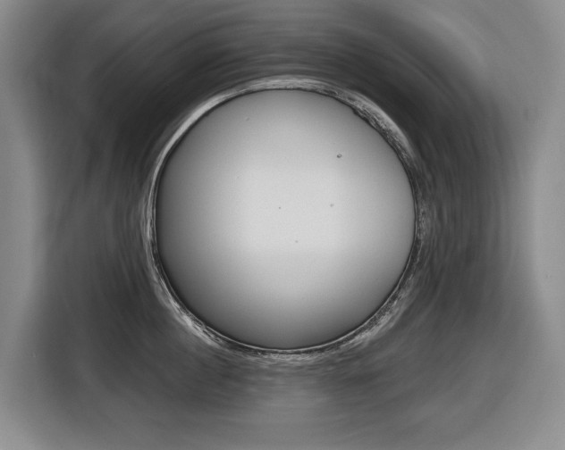X0000116510860200912090946