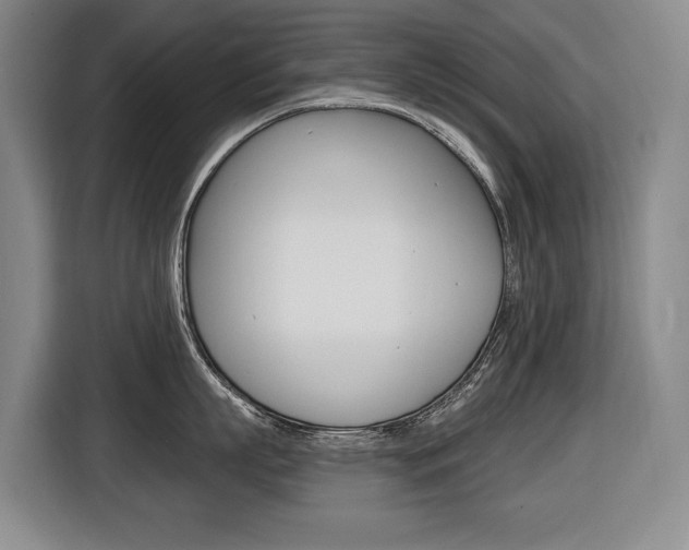 X0000116510863200912090946