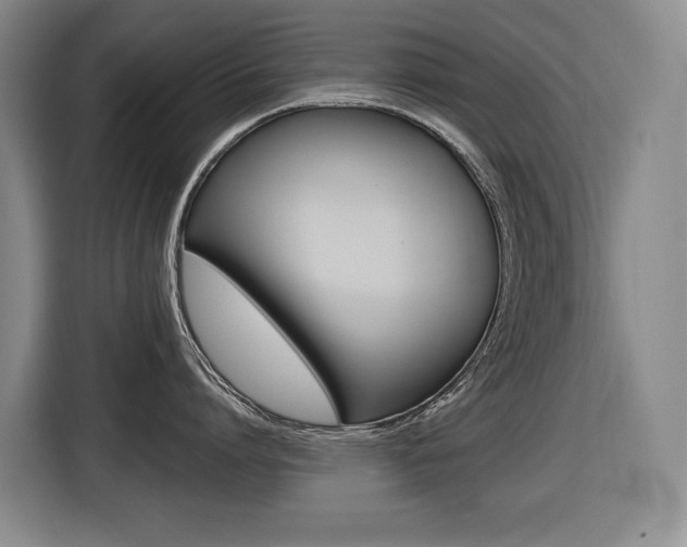 X0000116510864200912090946