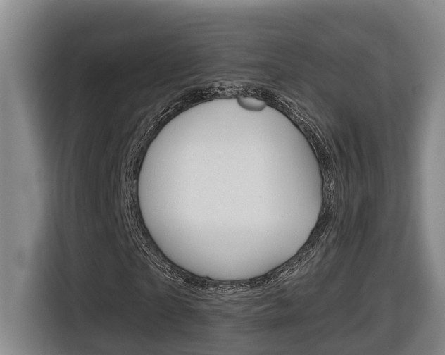 X0000116510865200912090945