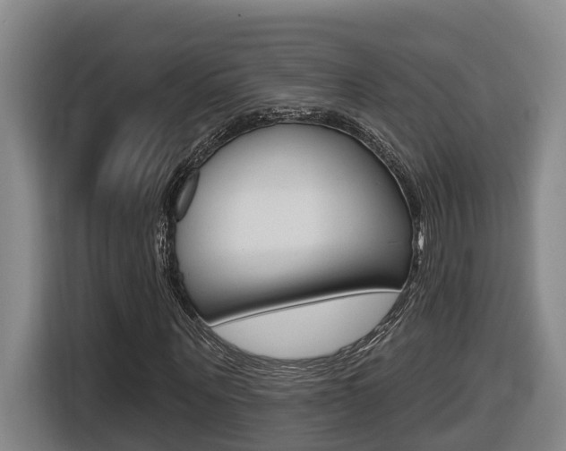 X0000116510867200912090945