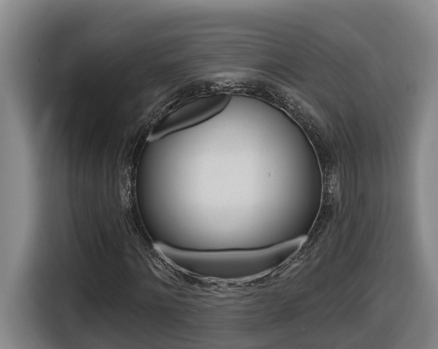 X0000116510868200912090945