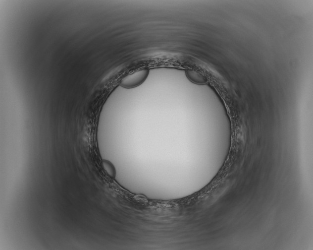 X0000116510869200912090945