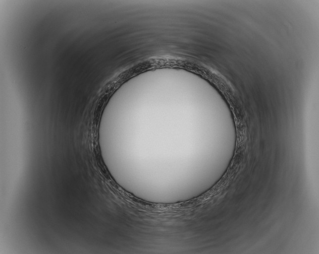 X0000116510870200912090945