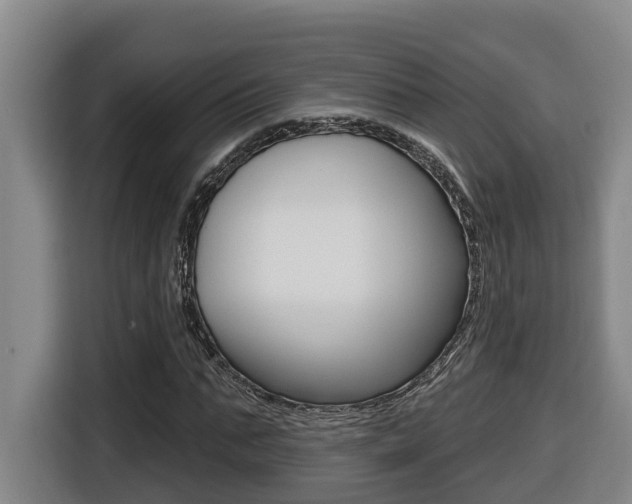 X0000116510871200912090945
