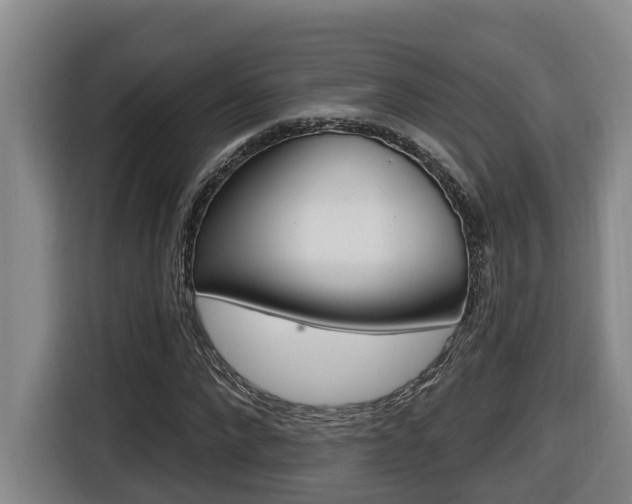 X0000116510872200912090945