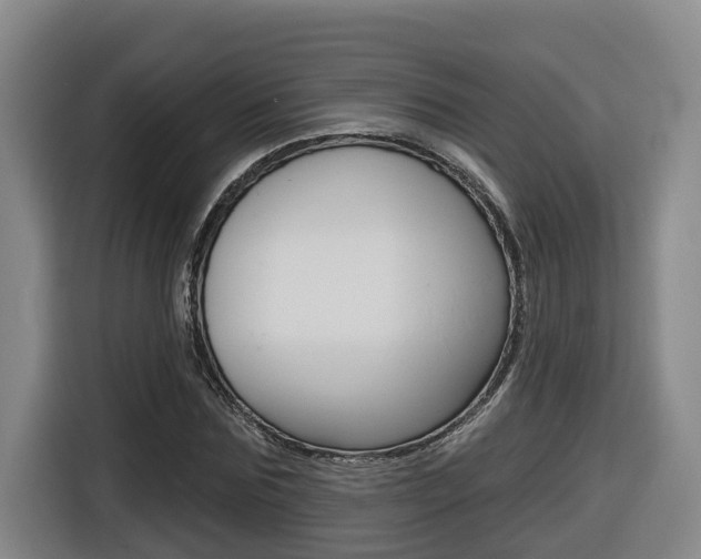 X0000116510875200912090945