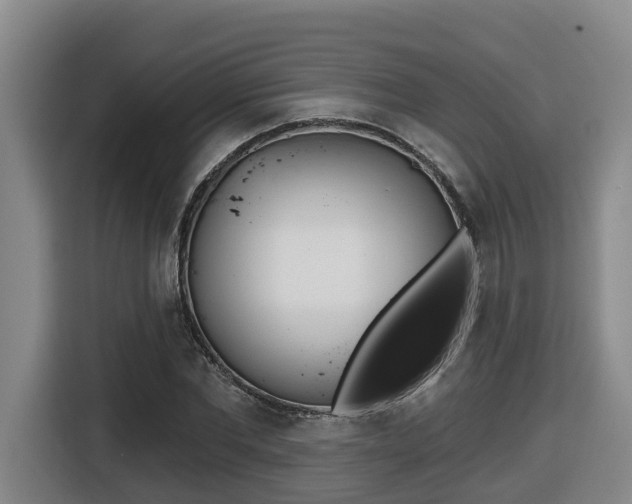 X0000116510877200912090945