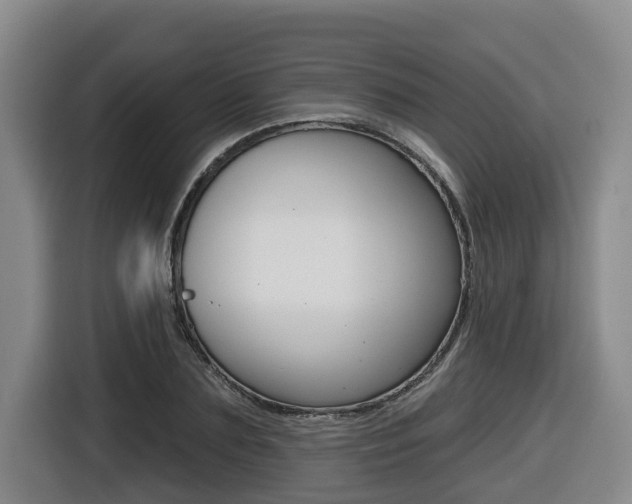 X0000116510883200912090945
