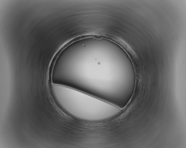 X0000116510884200912090945