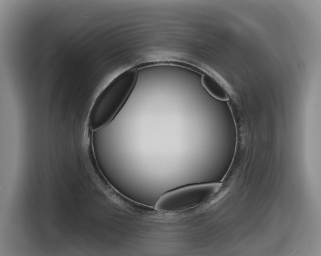 X0000116510885200912090945