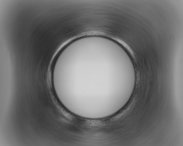 X0000116510886200912090945