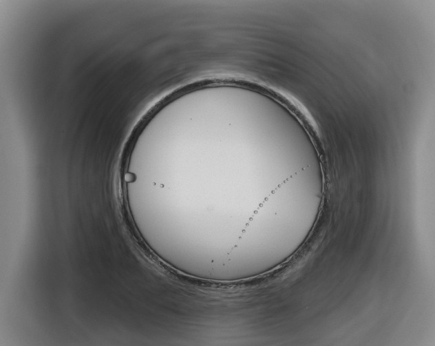 X0000116510887200912090945