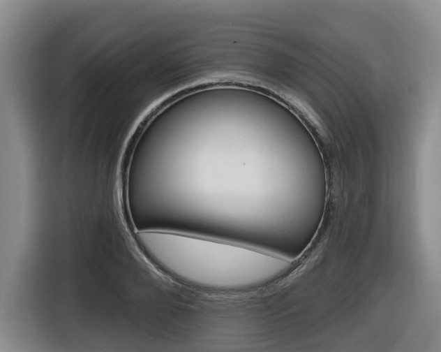 X0000116510888200912090945