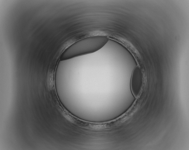 X0000116510889200912090945