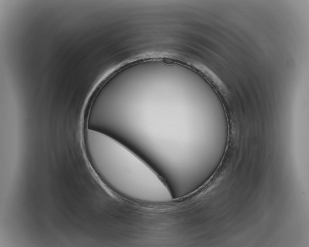 X0000116510894200912090945