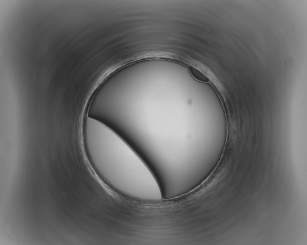 X0000116510898200912090945