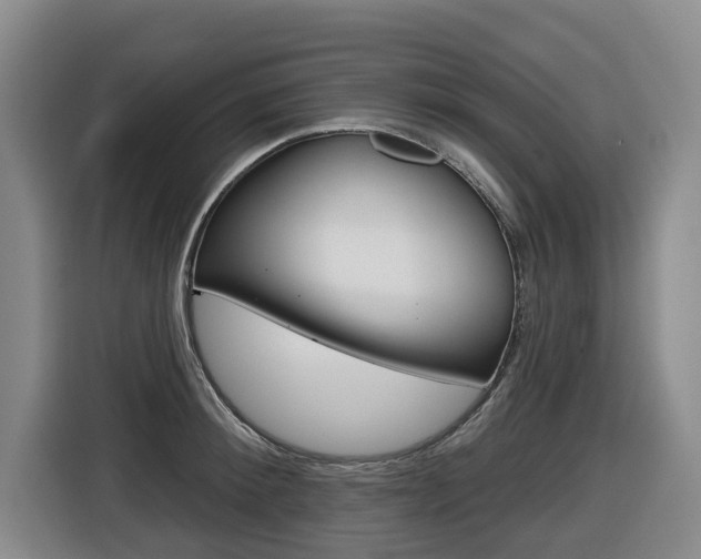 X0000116510900200912090945