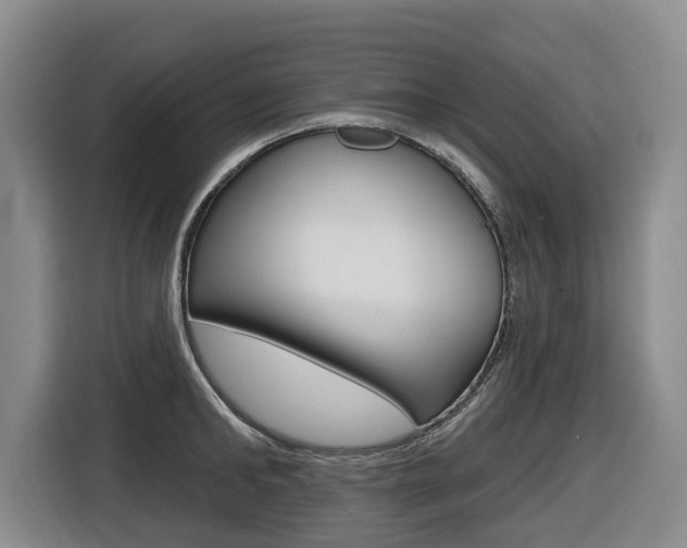 X0000116510902200912090945