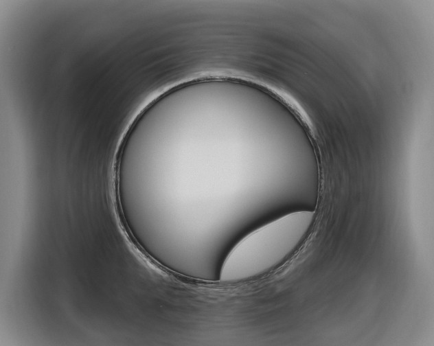 X0000116510903200912090945