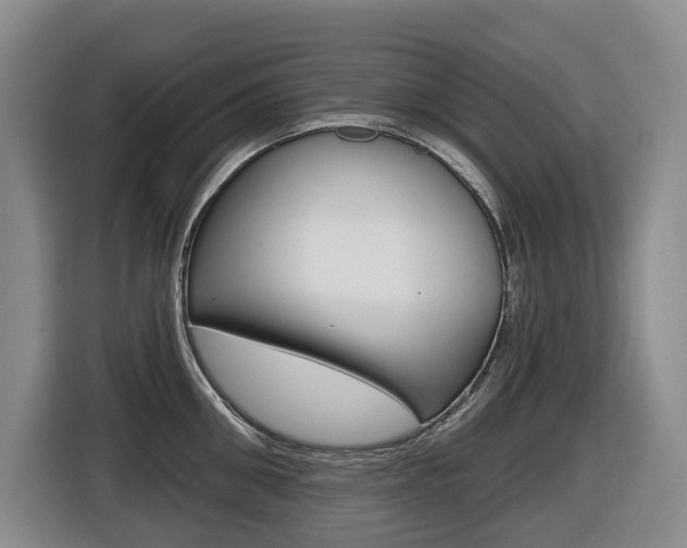 X0000116510906200912090945