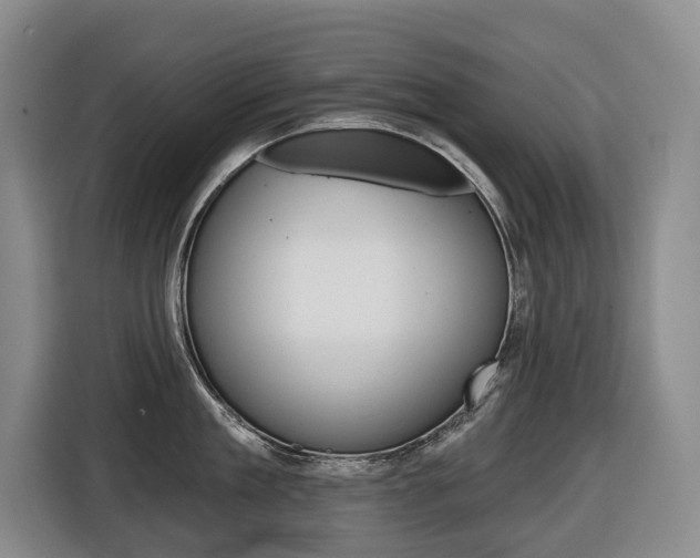 X0000116510909200912090945
