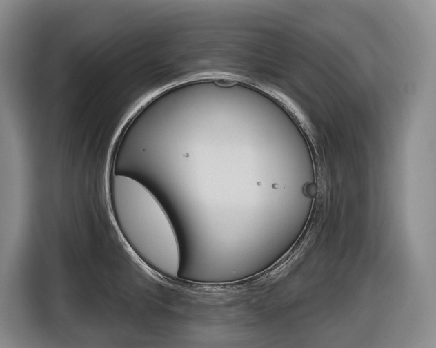 X0000116510910200912090945