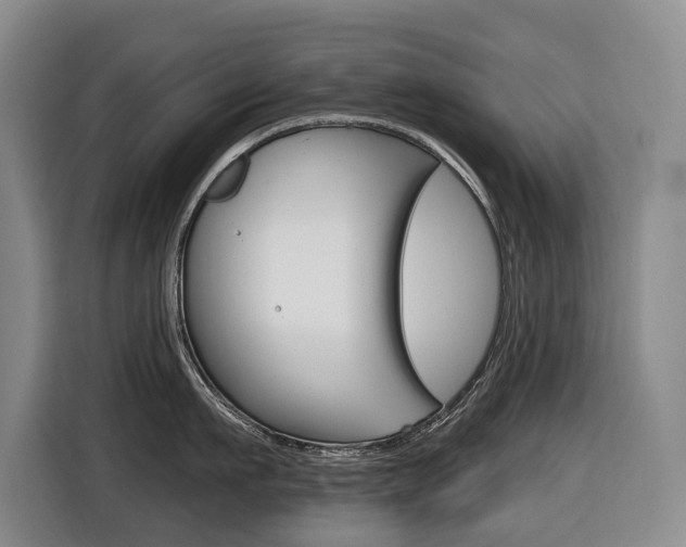 X0000116510911200912090945