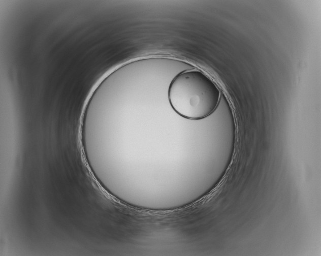 X0000116510912200912090945