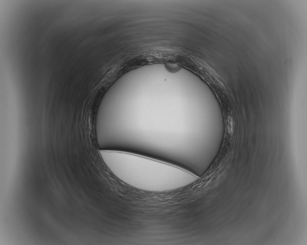X0000116510915200912090944
