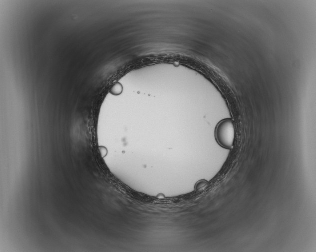 X0000116510918200912090944