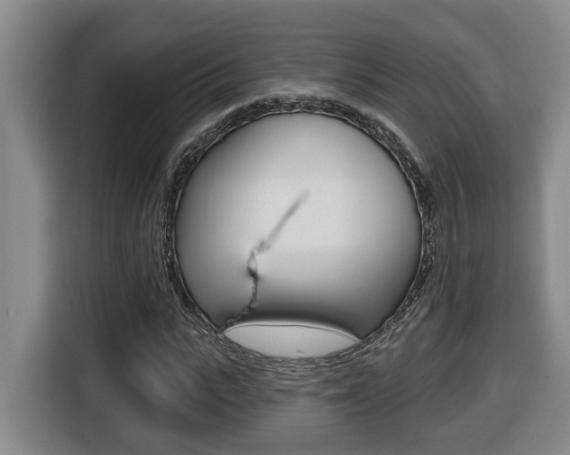X0000116510919200912090944