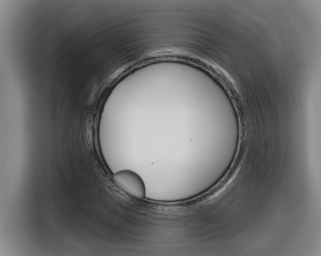 X0000116510921200912090944