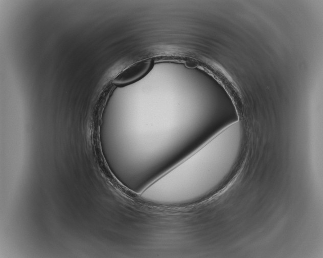 X0000116510922200912090944