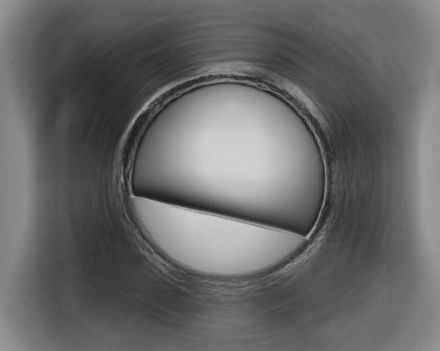 X0000116510923200912090944