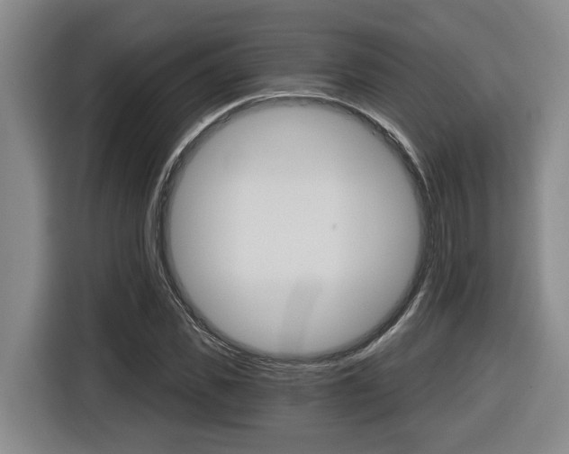 X0000116510925200912090944