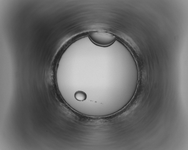 X0000116510926200912090944