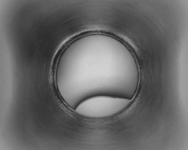 X0000116510927200912090944