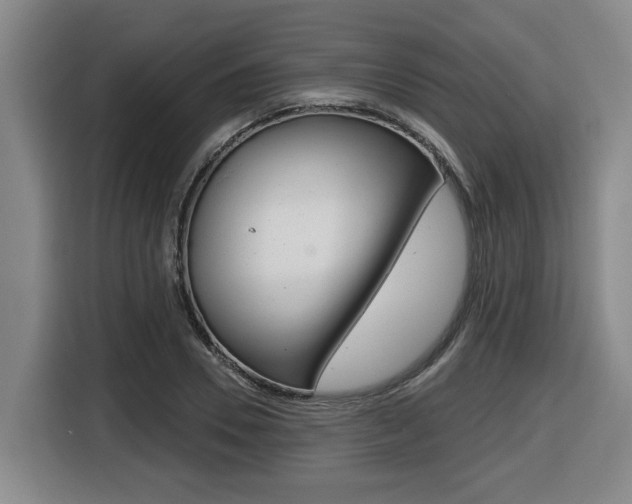 X0000116510930200912090944