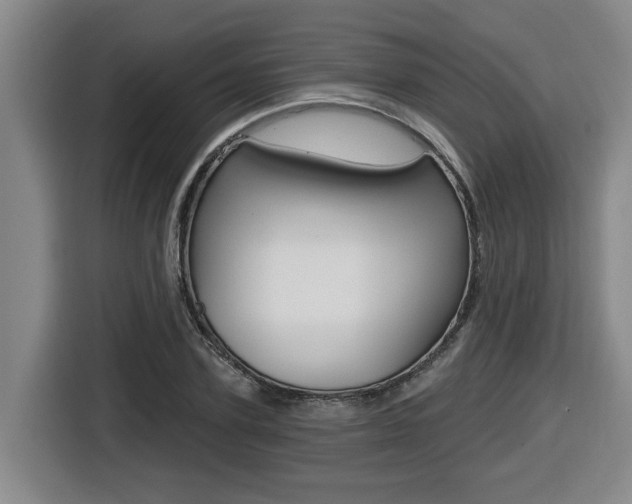 X0000116510931200912090944