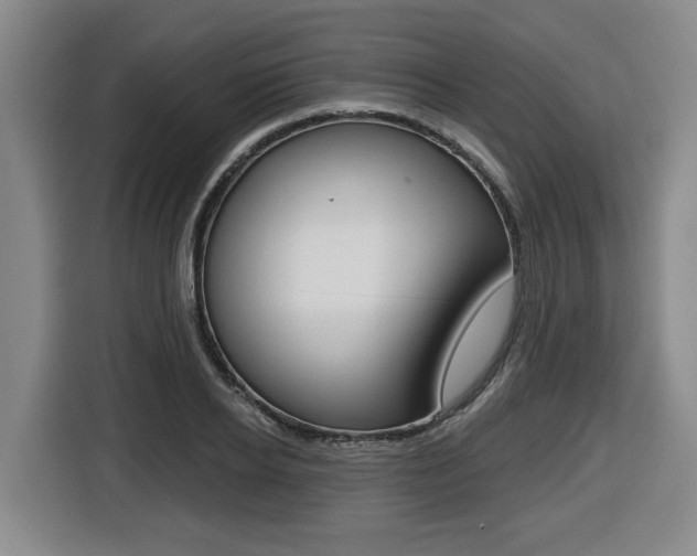 X0000116510934200912090944
