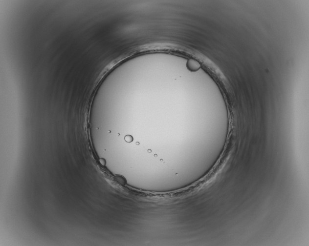 X0000116510937200912090944